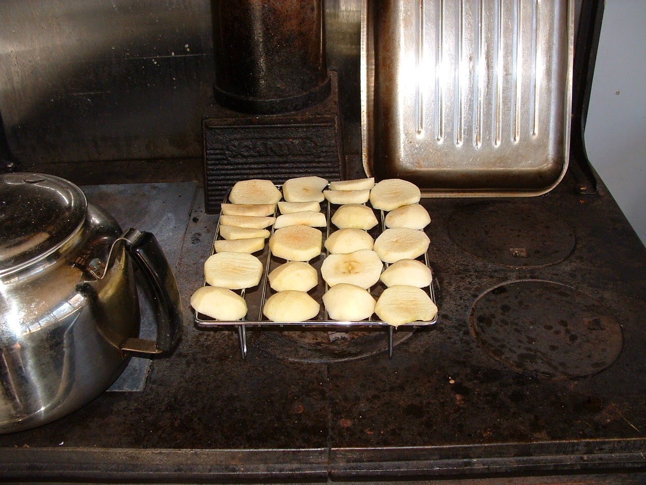 A Woodsrunner's Diary Dried Apple for Storage and Trail Food.