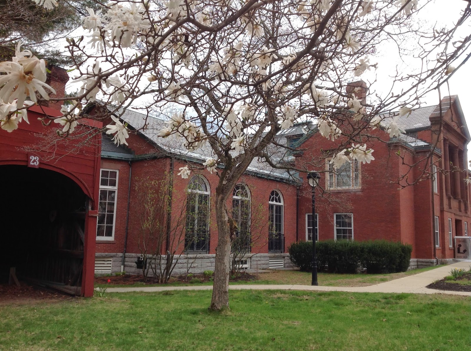 Life From The Roots Thayer Memorial Library, Lancaster, Massachusetts