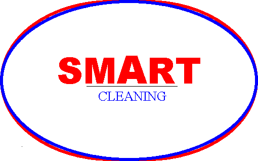 смарт клининг. Smarter очиститель. смарт клининг киров. Smart clean 59. ооо смарт клининг киров.