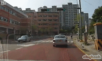 자라니 모음 | 인스티즈