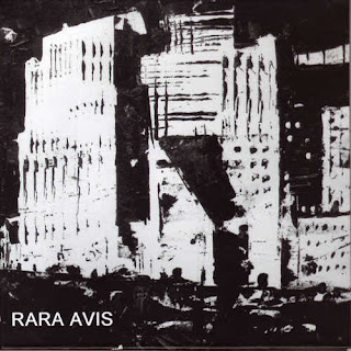 Rara Avis, Ken Vandermark, Rara Avis