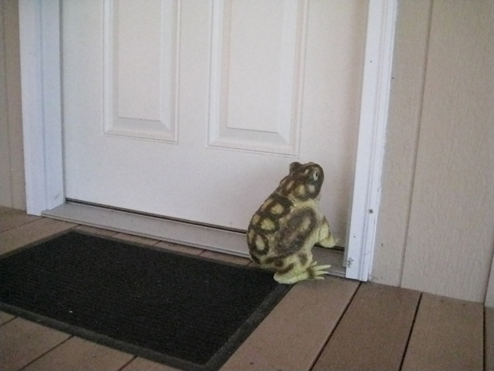 Toad House Where 'da Toad?