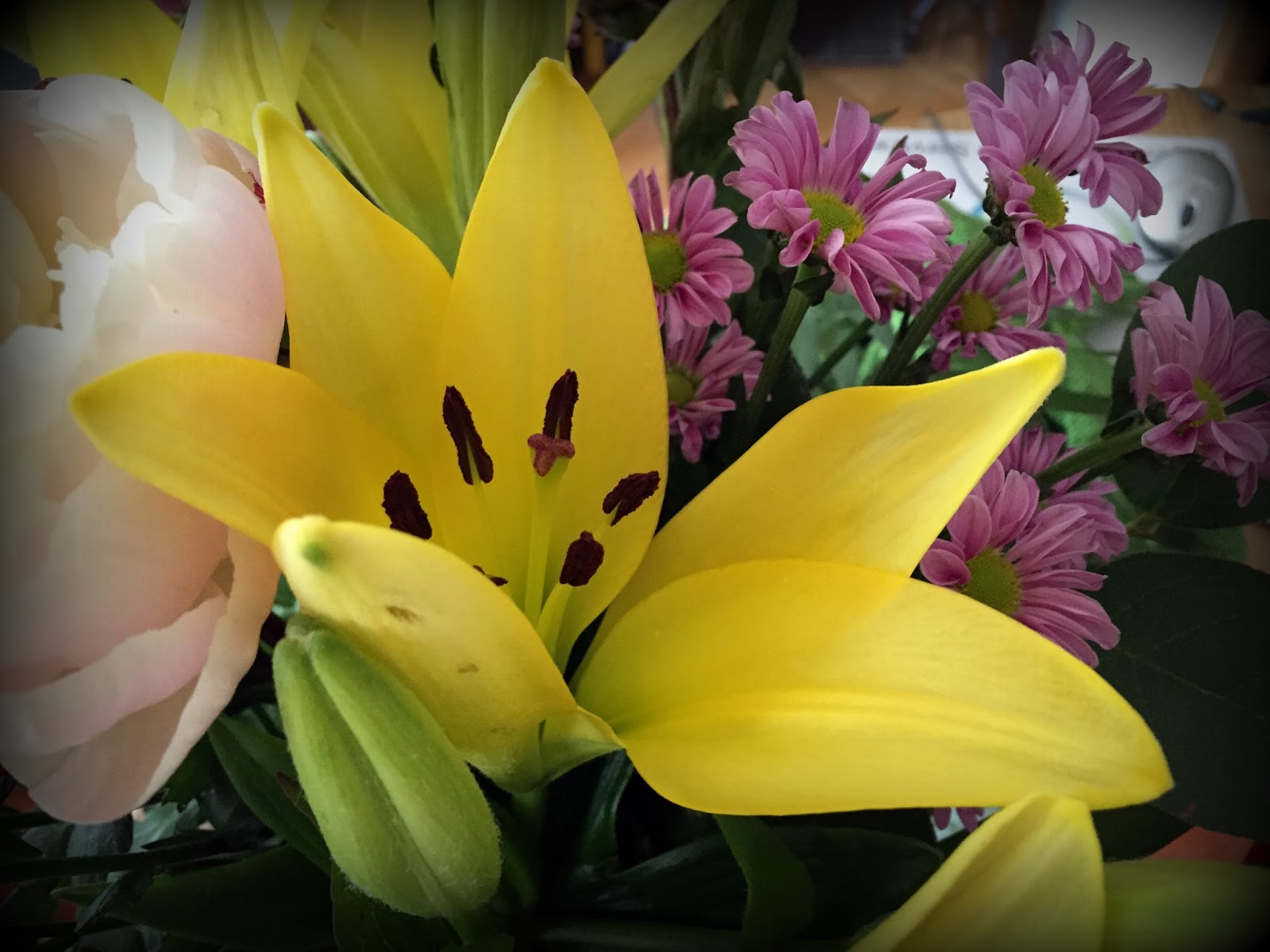 nadelwahn: Blumen im Juni