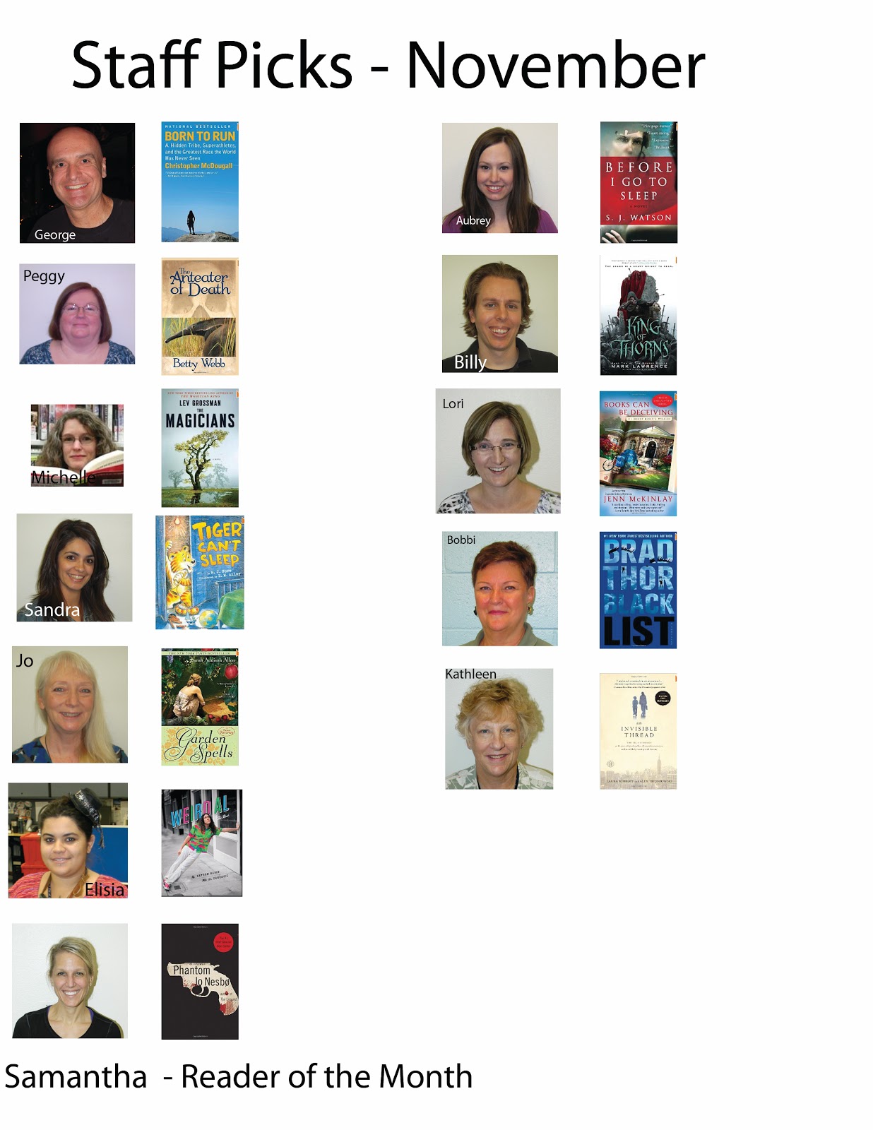 more than books Basha Library staff picks