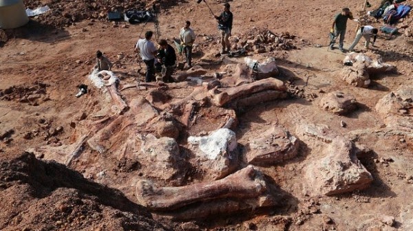 Βρέθηκε ο μεγαλύτερος δεινόσαυρος όλων των εποχών (εικόνες + video)
