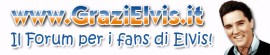 FORUM GRAZIELVIS - ARCHIVIO