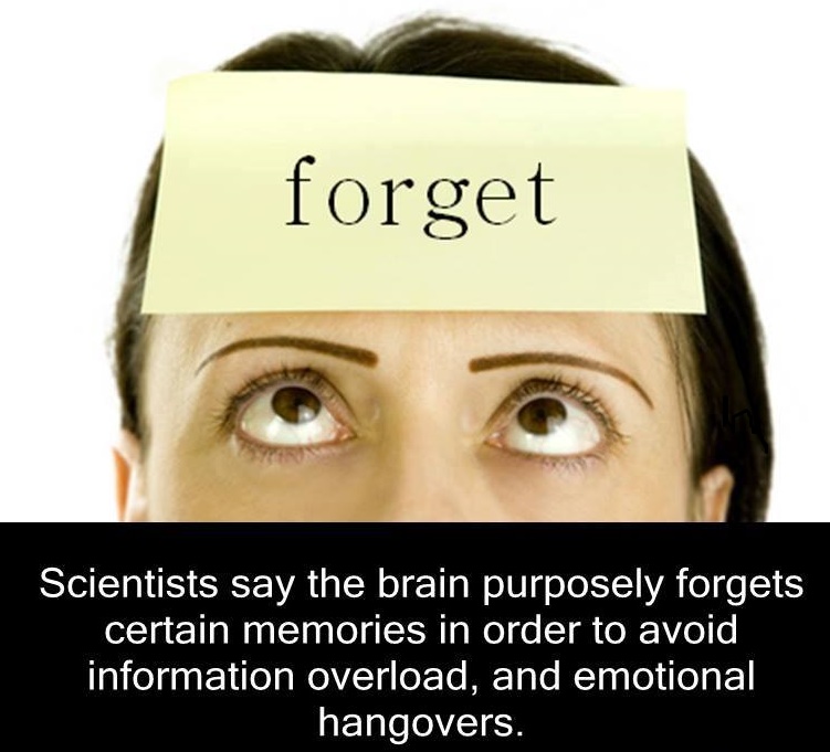 Forget to get them. Forget to get them. Life to forget. Надпись don't forget. Get 3 формы глагола в английском.