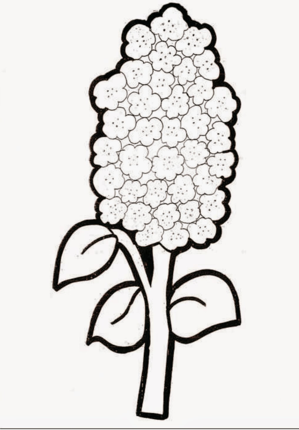 flower coloring pages holiday.filminspector.com