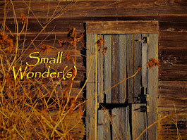 Small Wonder(s)--WordPress