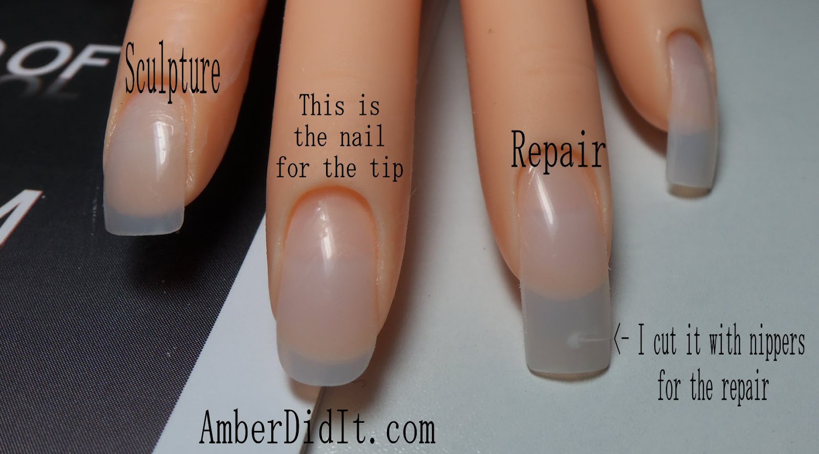 Acrylic Sculpture Nail HOME DECORATION LIVE