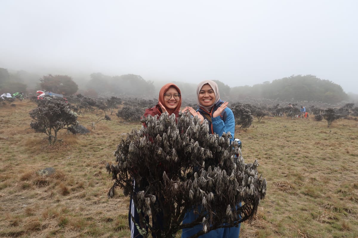 Sevilla�s Area: Ada Apa di Puncak Gunung Gede?!
