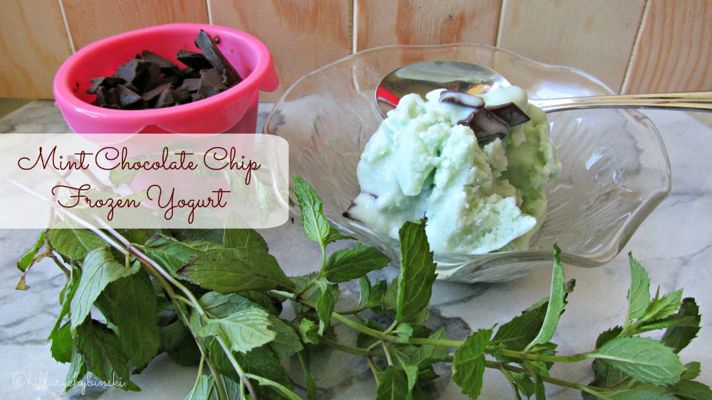 Making Frozen Yogurt at Home