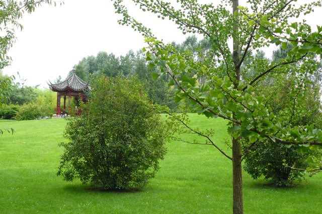 mein wunderbares Gartenbuch: der chinesische Garten
