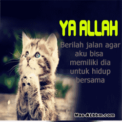 DP BBM Kucing Lucu Lawak Jowo DP BBM Kucing Lucu Lawak Jowo