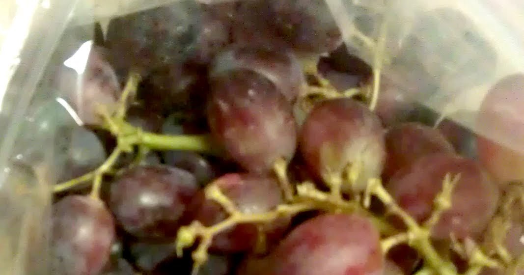 They Are Crafty Cleaning Grapes