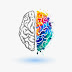 Brain Help | 5 Alimentos que ajudam na Concentração