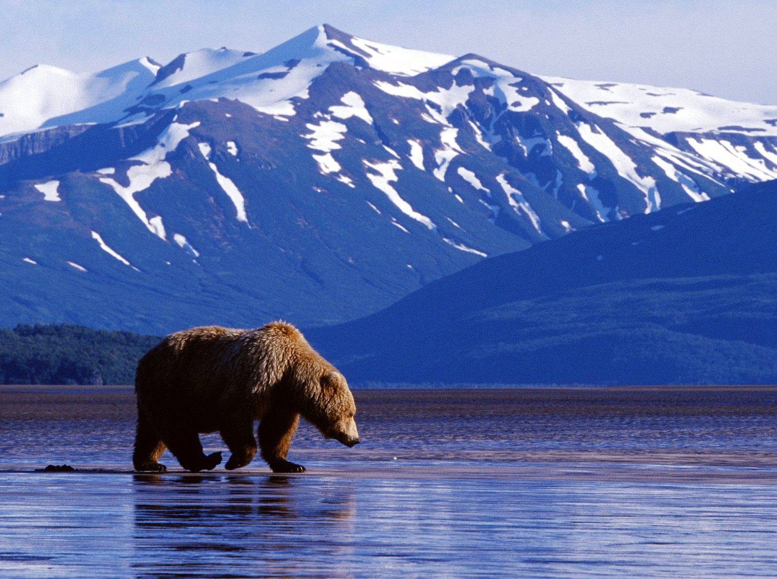 Alaska Dreams Destinations