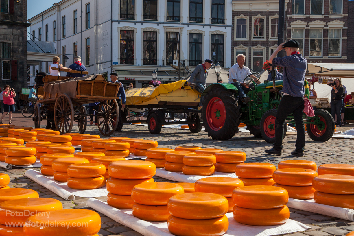 FotoDelray Cheese market in Gouda Goudse kaasmarkt