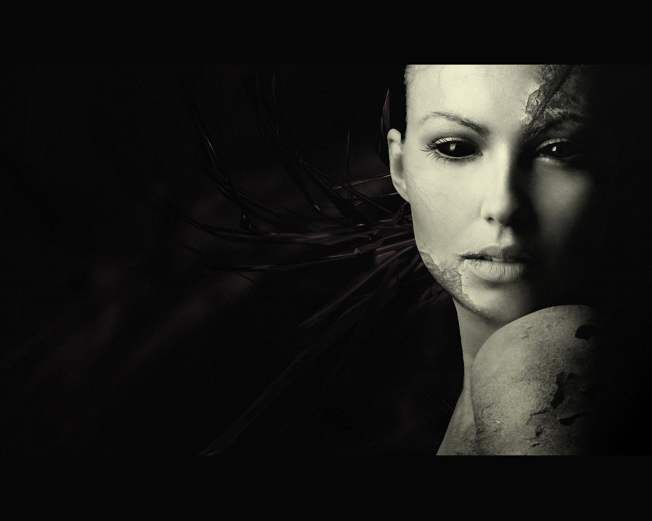 Wallpapers black 2012