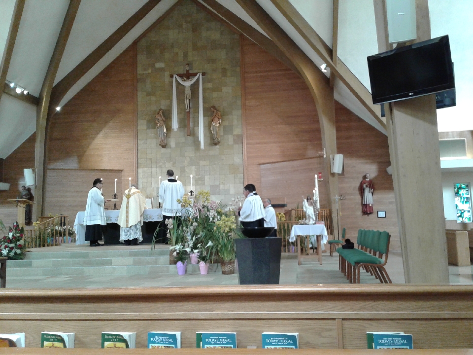 The Brothers of the Little Oratory in San Diego: Images of Mass of the ...