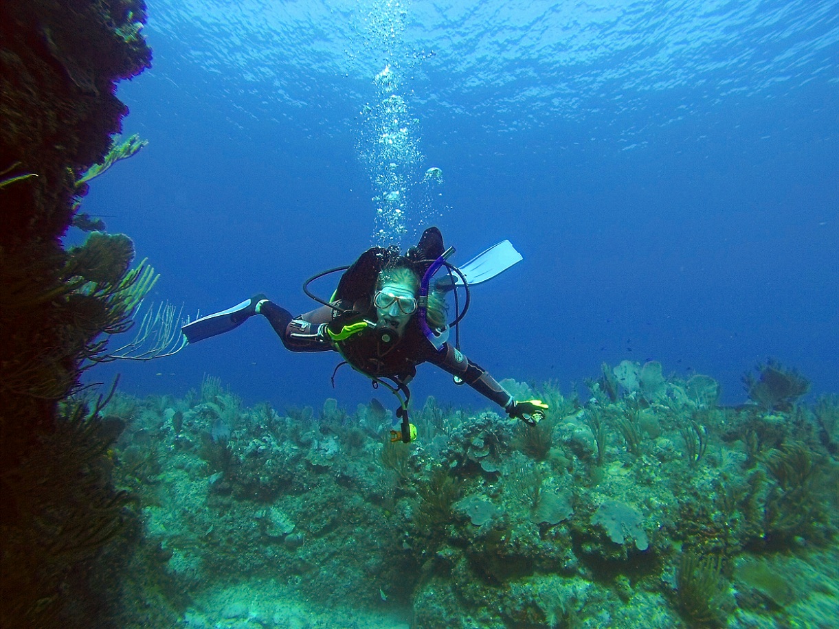Puerto Escondido Cuba Blue Diving