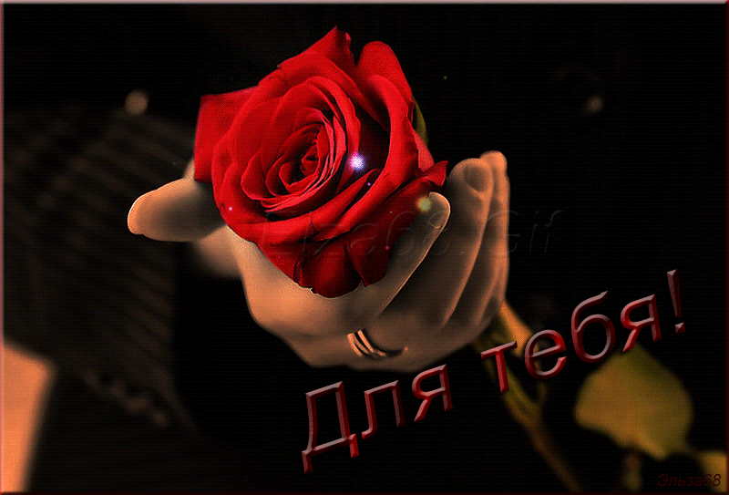 Гифка дарит цветок. Розы для тебя. Дарит розу. Открытки розы для тебя. Розы для любимой.