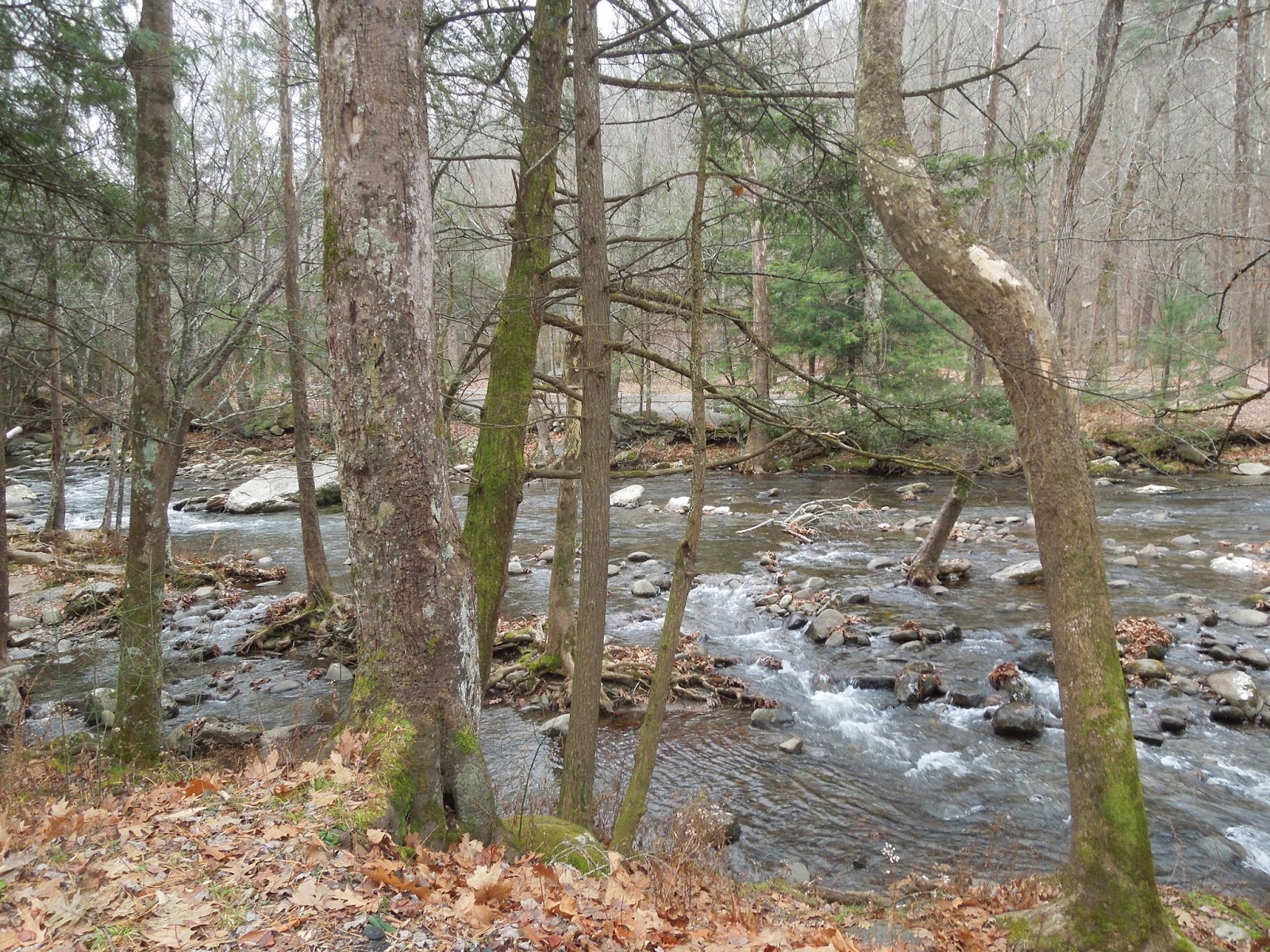 The Rugged Bunch Cold Weather Camping at Elkmont in Smokey Mountain