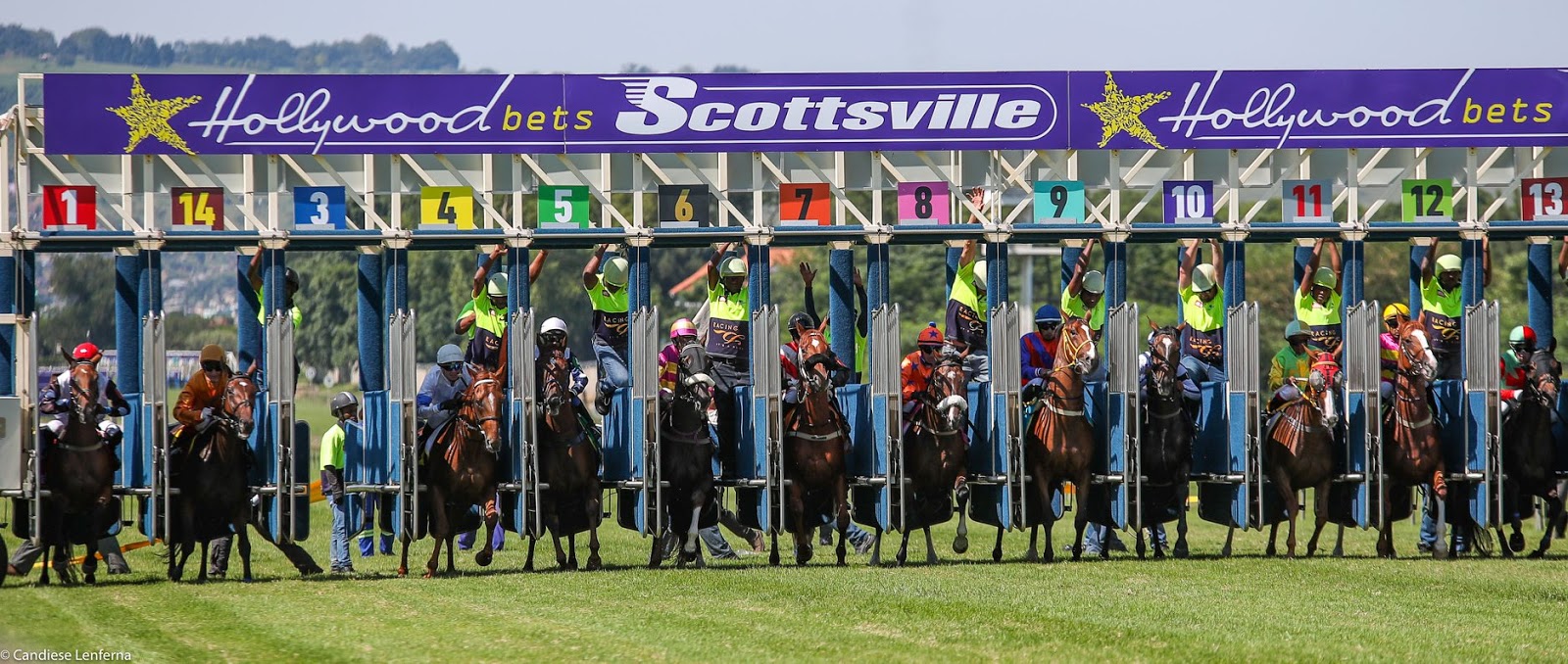 Hollywoodbets Scottsville Racecourse - starting gates Hollywoodbets Scottsville Racecourse - starting gates