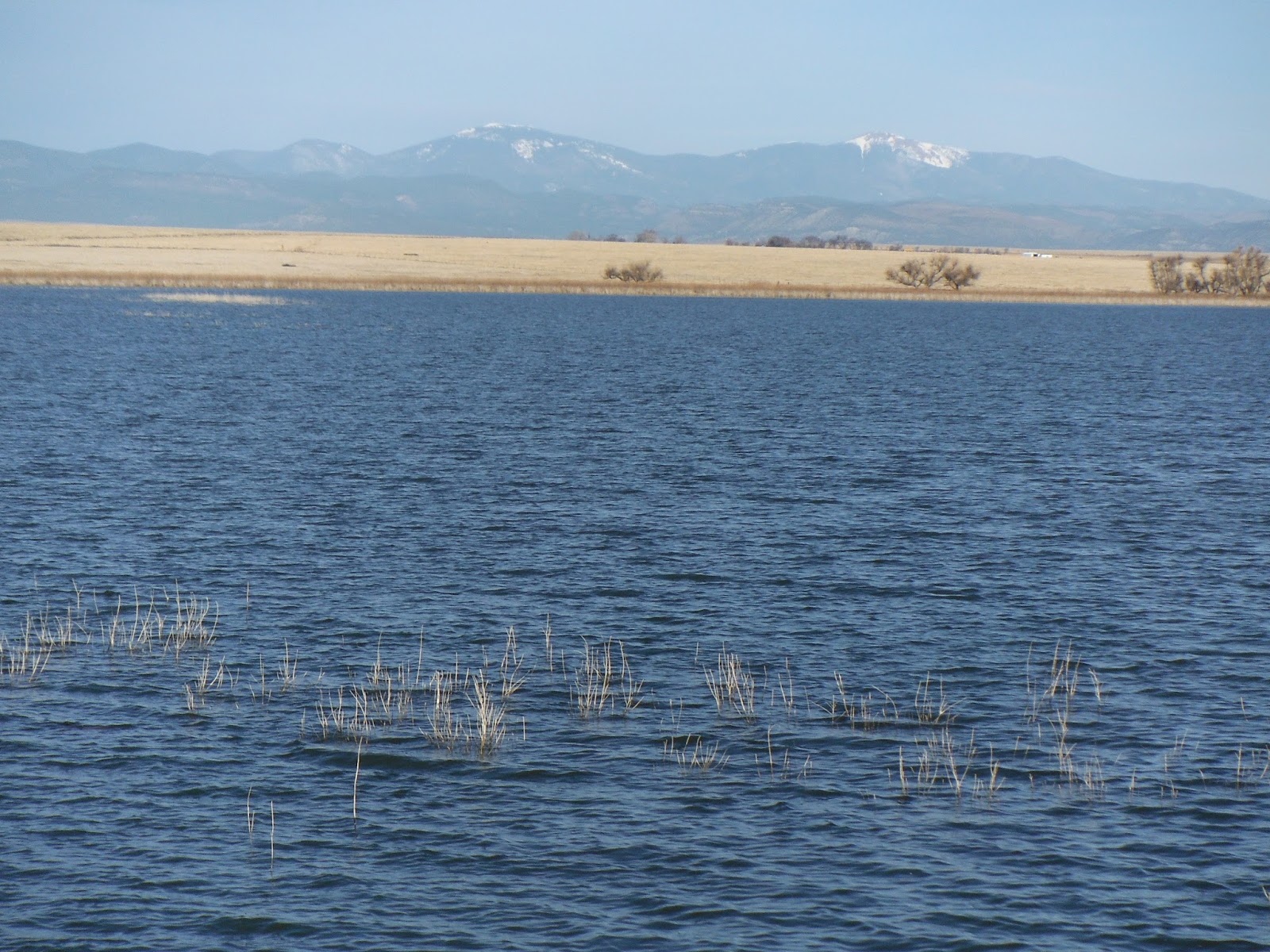 The Gossamer Hiker March Hike at Springer Lake, New Mexico