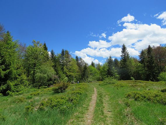 Mały Krzystonów szczyt polanka