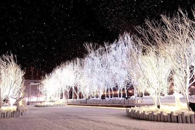 【白色聖誕】體驗北歐冬日氣氛 D2 Place 極光冰雪森林