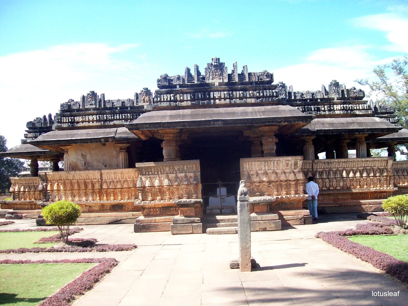 gardentropics Temples of the Rainforest