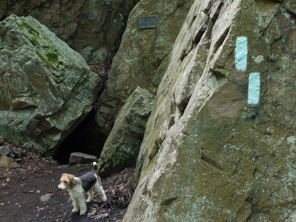 Along the NETCohos Rattlesnake Mountain, Farmington