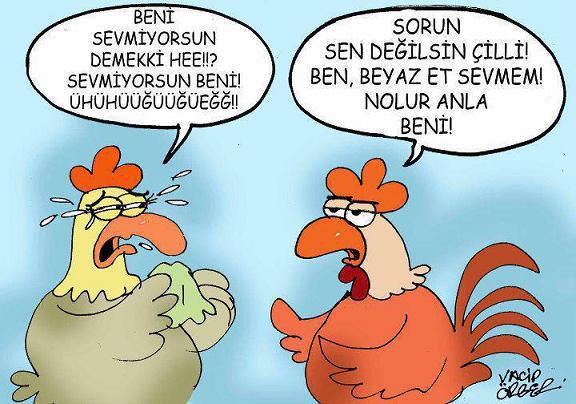 Durmabak) Mayıs 2012