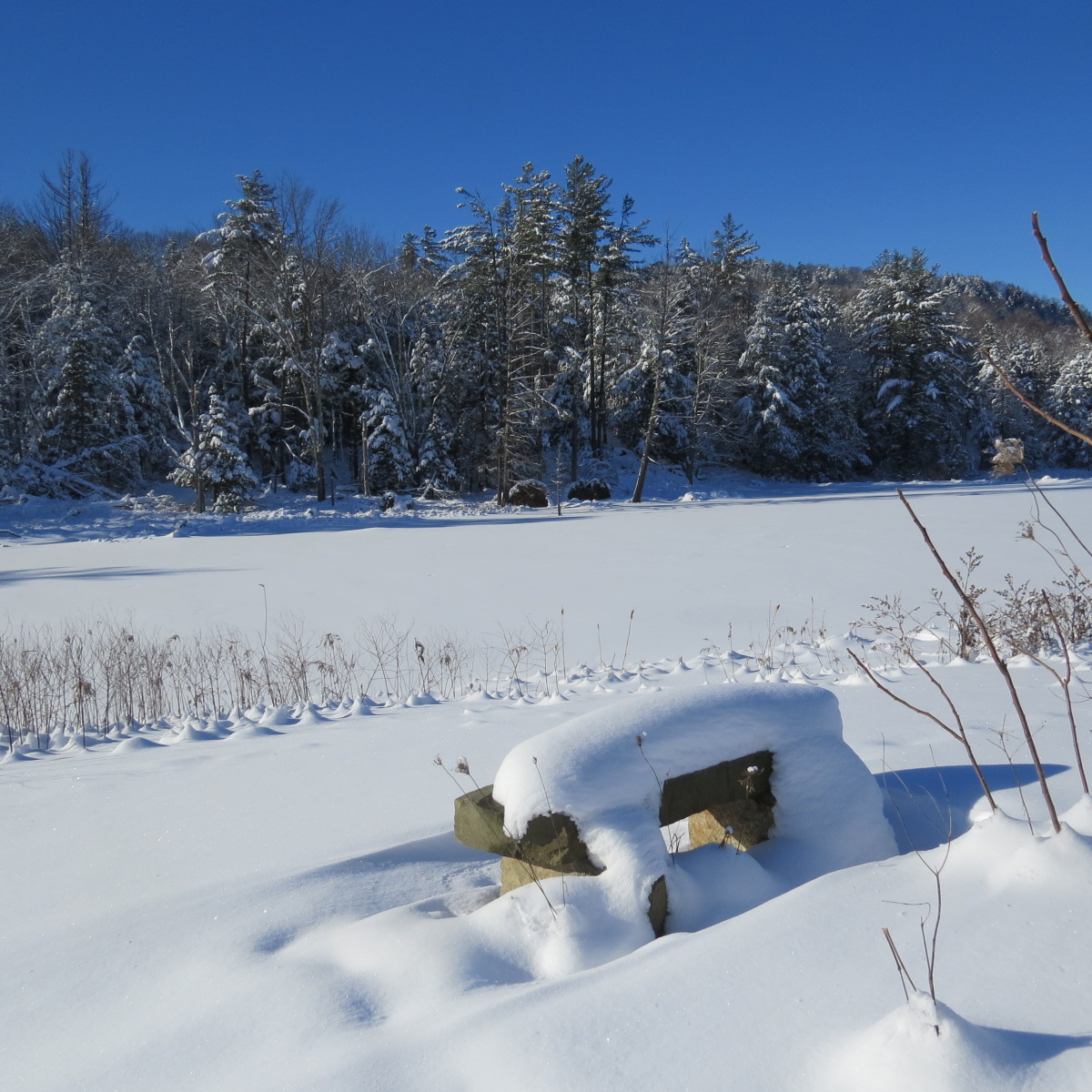 Jericho, Vermont Photos beaver pond Jericho Vt. Snowshoeing