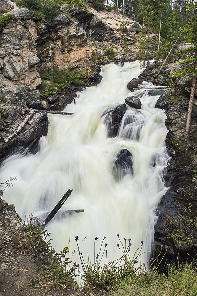 Trails Trekker East Inlet Trail to Adams Falls