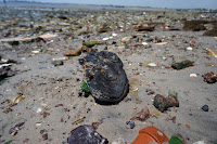 Shoe on beach