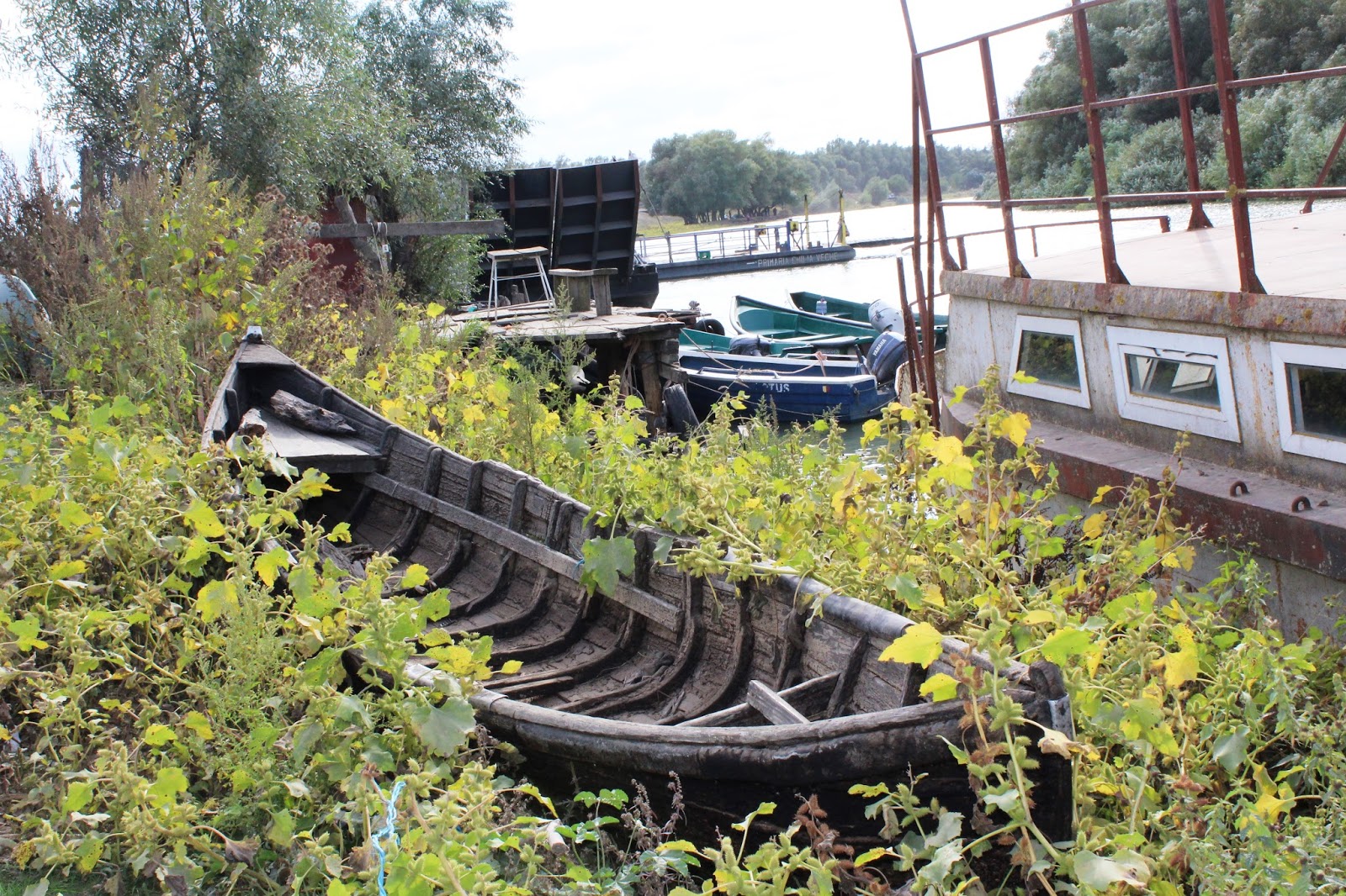 Ştiinţă pentru toţi Delta Dunării Chilia Veche, Tulcea