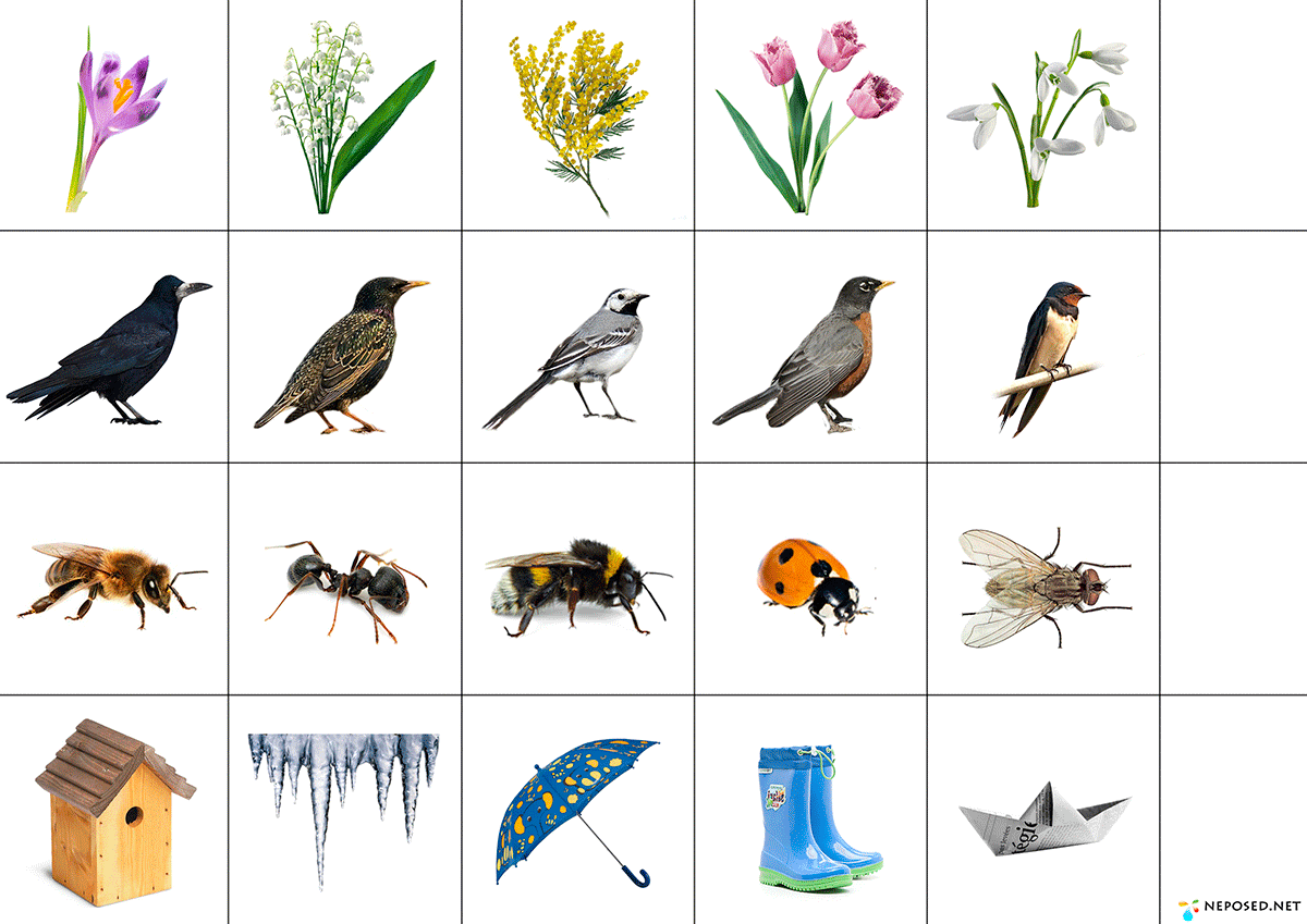Развитие речи птицы весной подготовительная группа