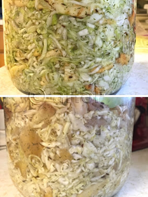 sauerkraut, fermenting, process, progress