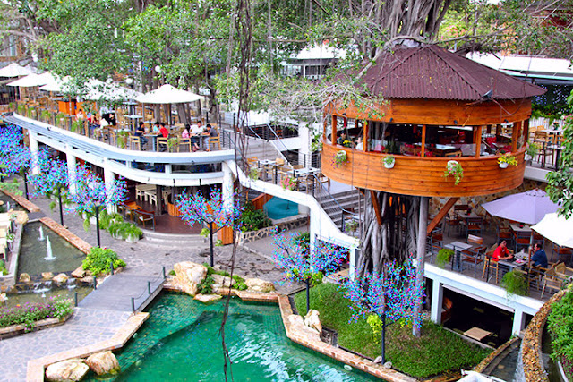 Order bằng điện thoại, máy tính bảng cho quán cafe, quán ăn, nhà hàng chuyên nghiệp và năng suất.