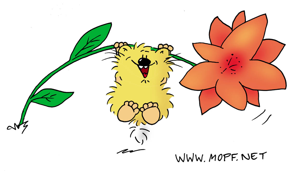 Nice Things - Dinge, die ich liebe!: :-)))))))))))))))))))))))))))))