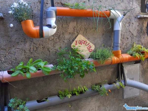 Backyard vertical garden design with pipe back yard pictures; small yard design; small backyard design ideas; backyard design ideas for kids; backyard ideas; small backyard designs; small front yard design; small yard ideas; small yard landscaping; small backyard design; small yard design ideas; small landscape design; small garden design; small backyard design on a budget; small backyard landscaping ideas; backyard ideas on cheap budget; backyard ideas on a budget; diy backyard design; diy backyard ladnscaping; diy backyard photos; diy small backyard design; backyard ideas diy; yard design on a budget; small backyard on a budget; backyard ideas cheap; cheap landscaping ideas for backyard; cheap backyard design ideas; cheap diy backyard ideas
