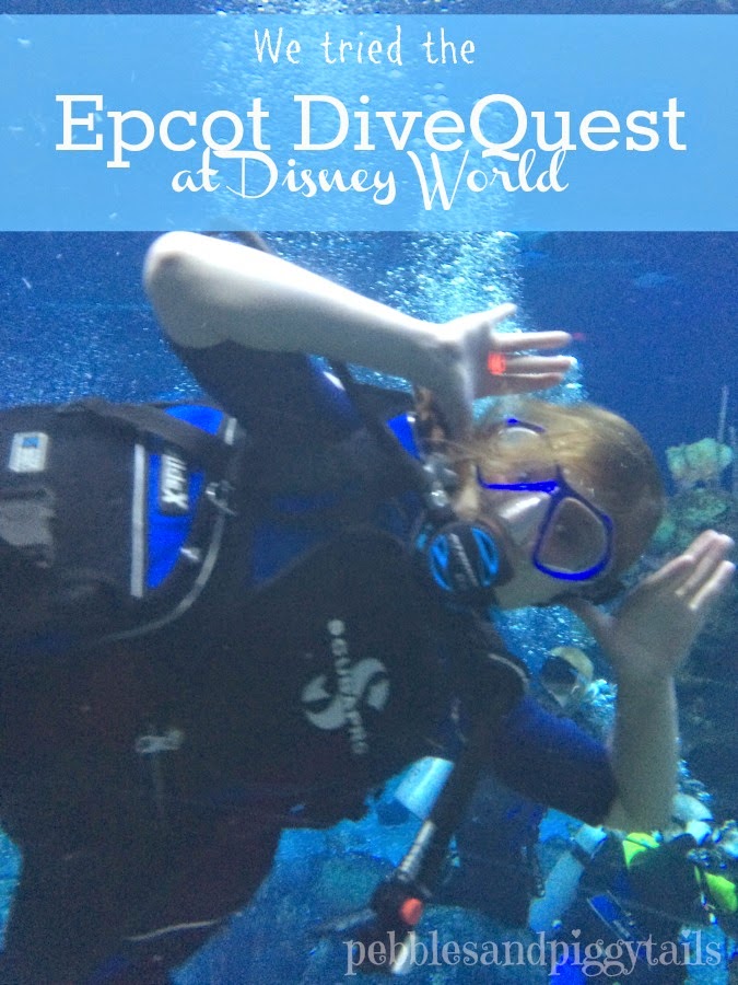 We Tried Disney’s DiveQuest at Epcot Making Life Blissful