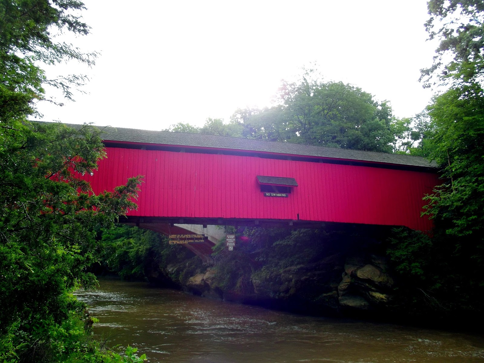 A Visit to Turkey Run State Park