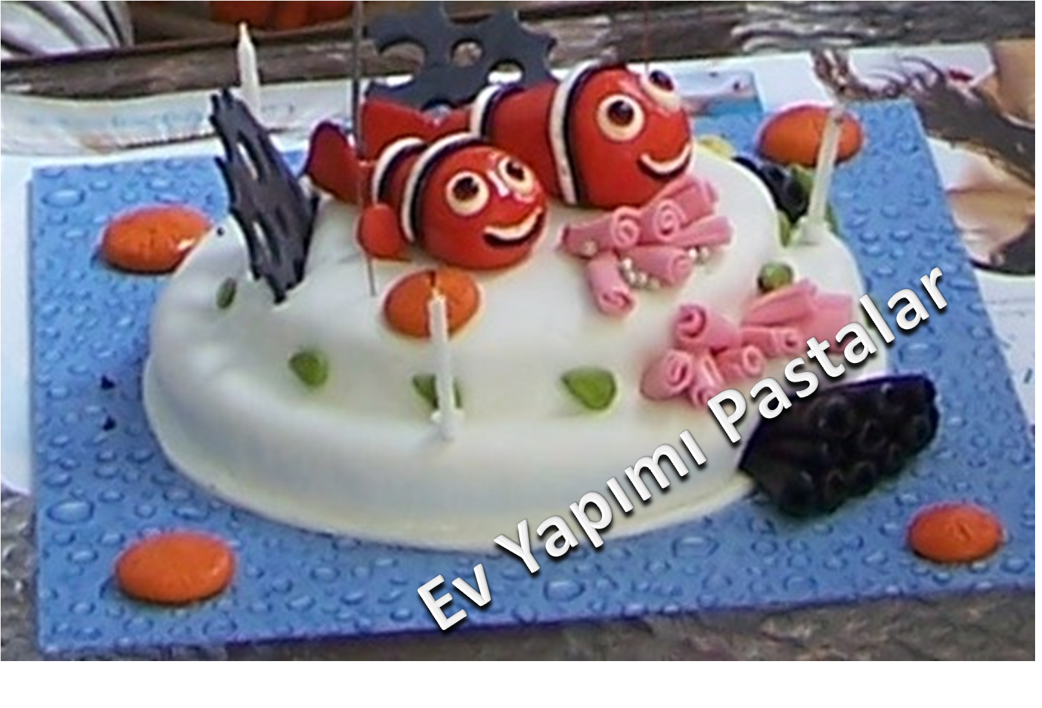 Ev Yapımı Pastalar Haziran 2011