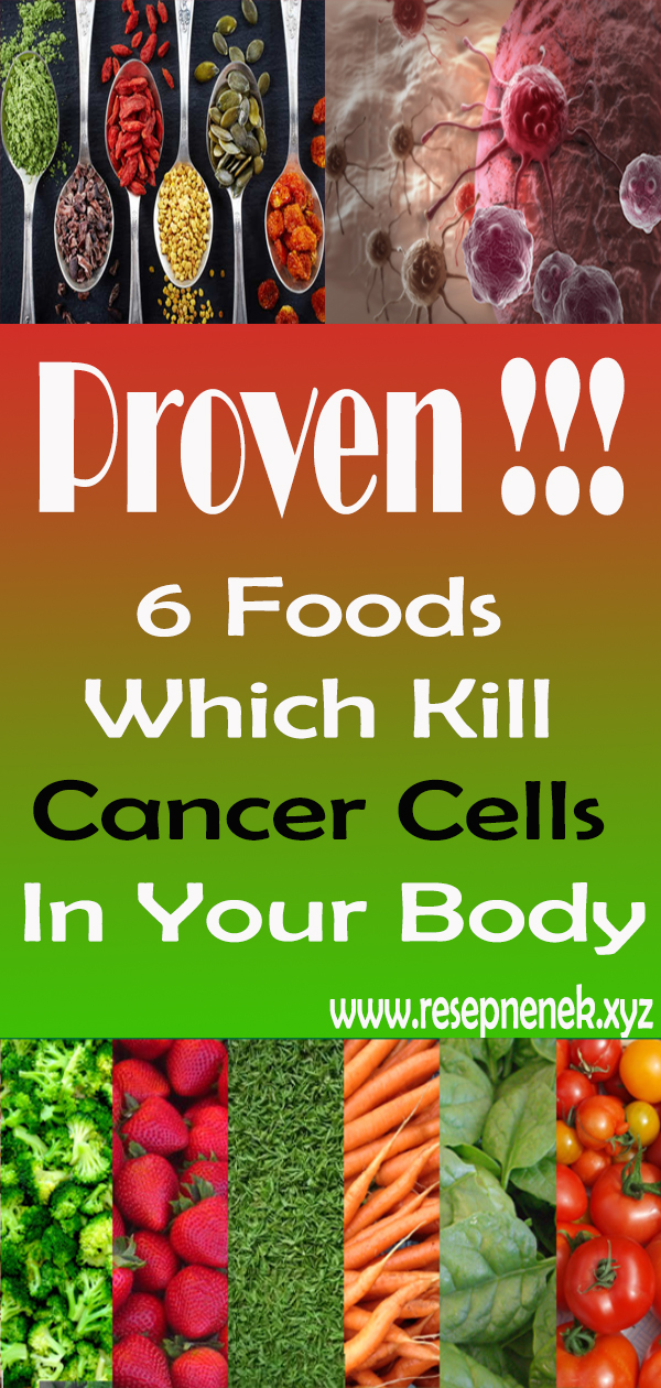 6 Foods Which Kill Cancer Cells In Your Body Idnewstimes