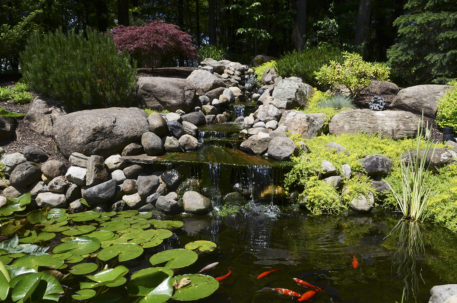 The Saratogian Blogs Fresh Ink Saratoga Secret Gardens Tour July 7