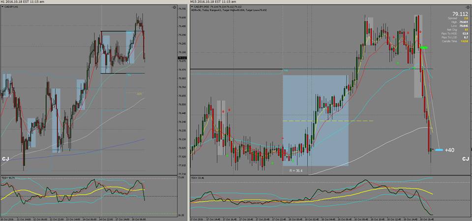 Btmm forex