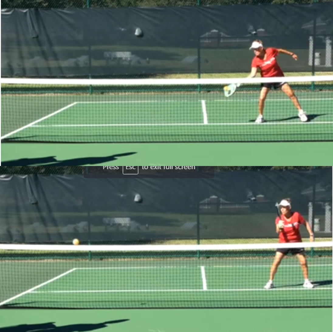 A Pickleball Life Defending the Drop Shot from the Odd and Even Courts